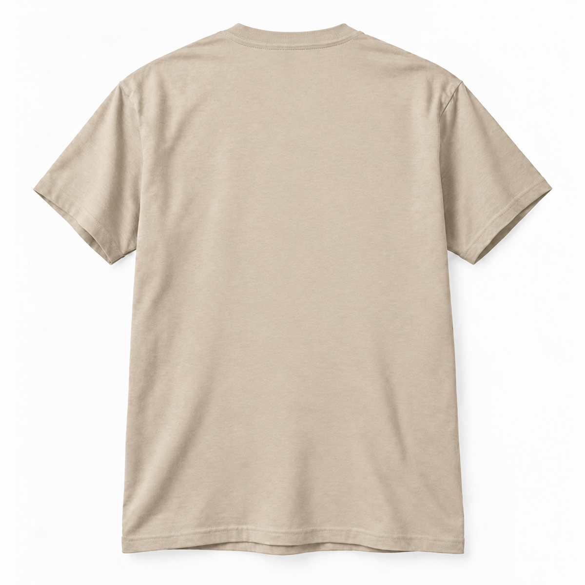 Gildan 5000 T-Shirt