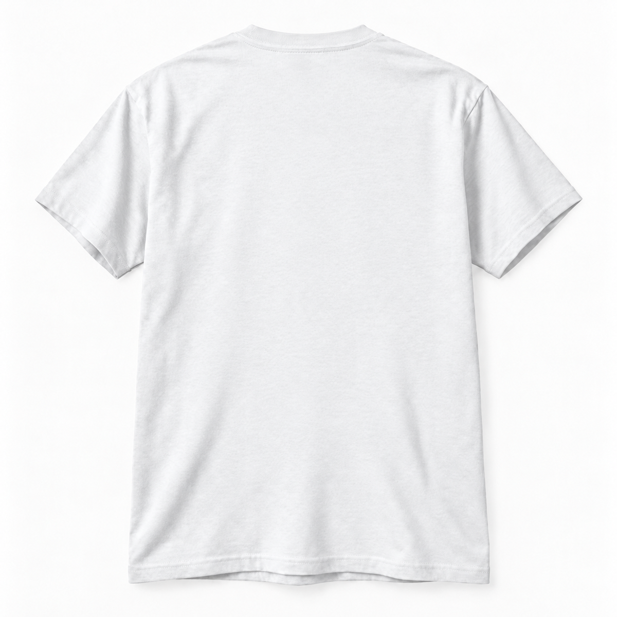 Gildan 5000 T-Shirt