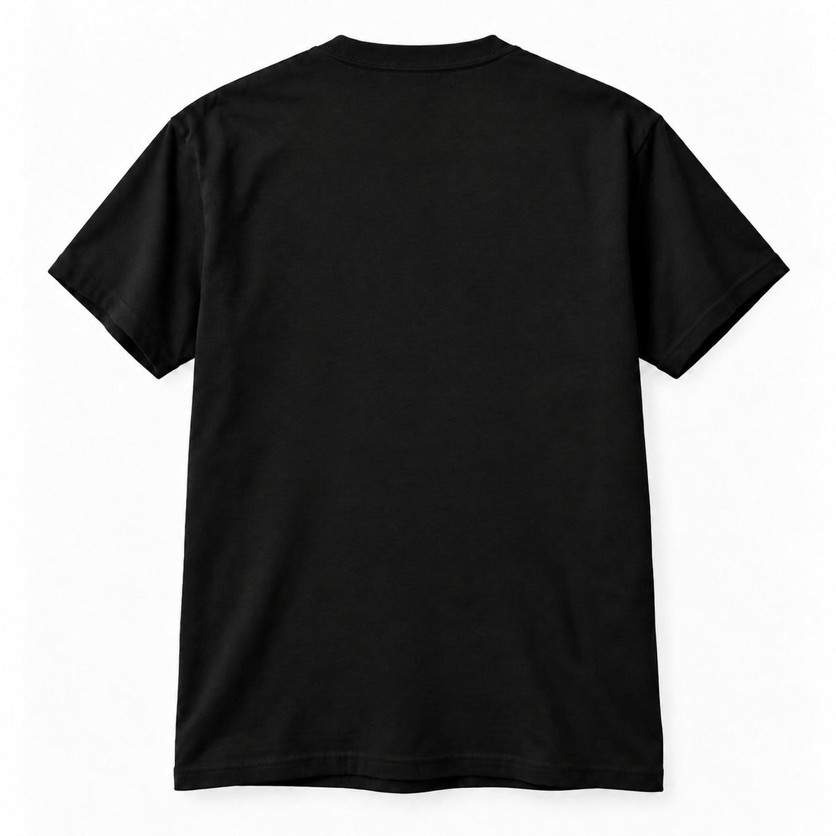 Gildan 5000 T-Shirt