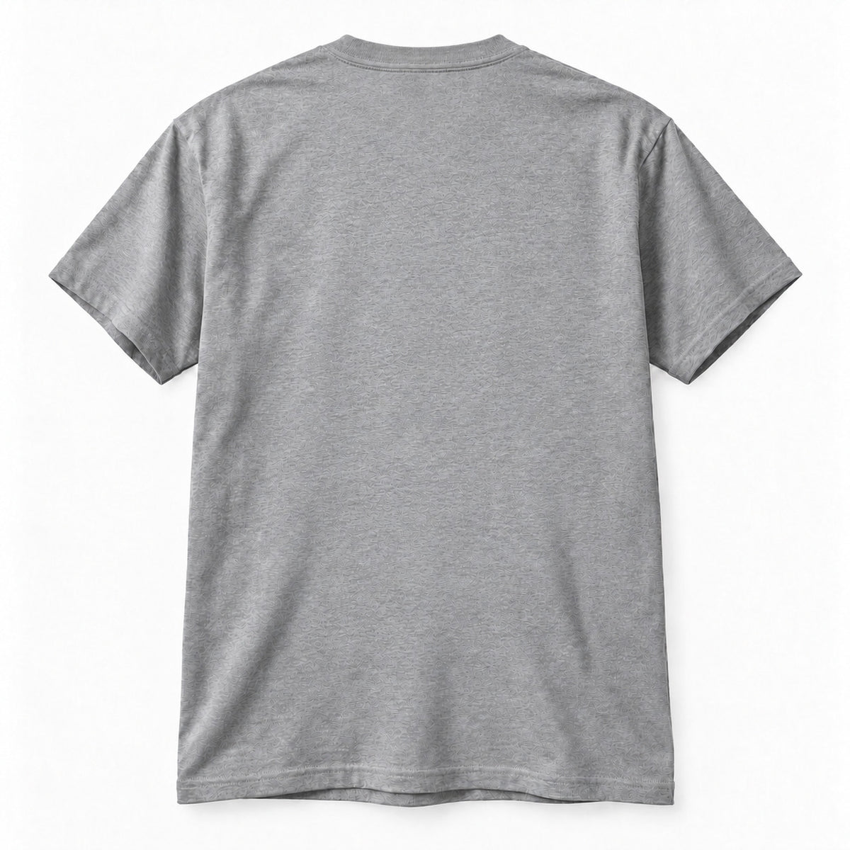 Gildan 5000 T-Shirt